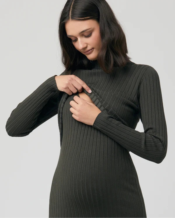 Nella Rib Nursing Knit Dress: Ivy
