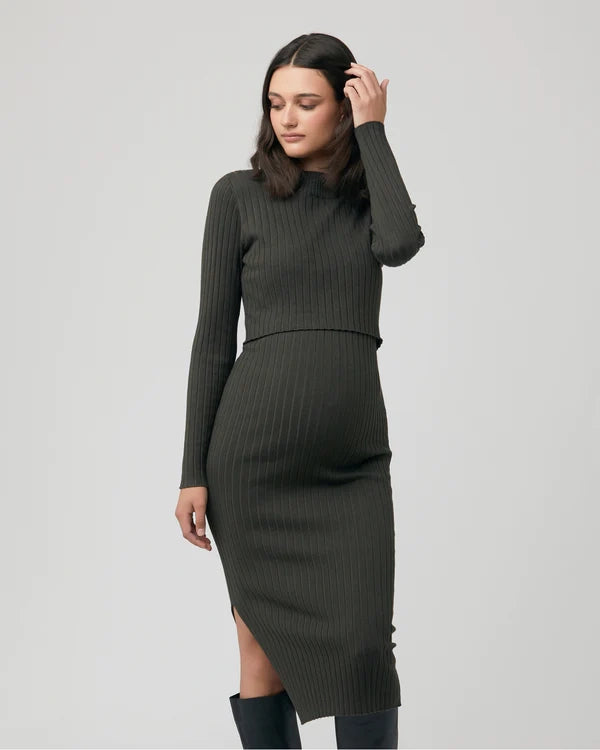 Nella Rib Nursing Knit Dress: Ivy