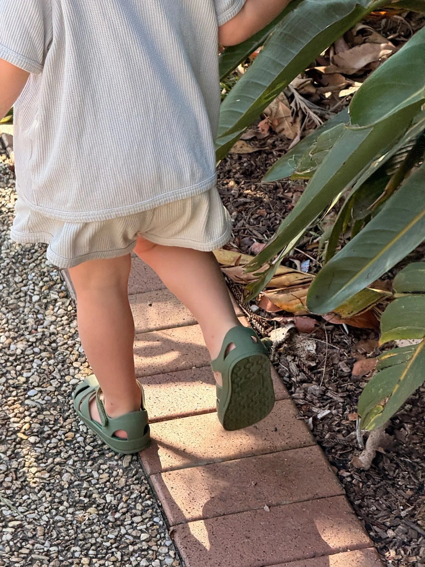 Kids Jelly Sandal – Olive Green